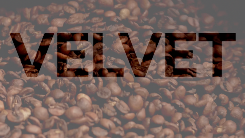 Velvet - Caio Tucundura